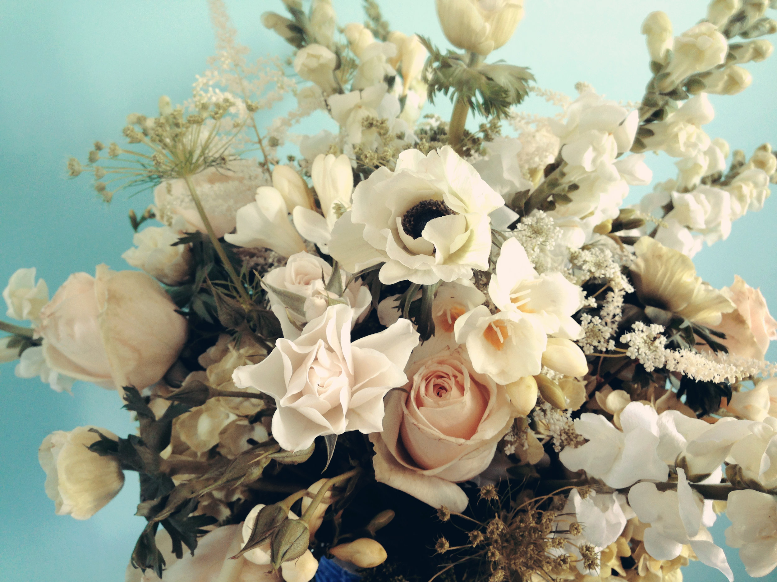 susan+Betz+-+IMG_2565+(2).jpg
