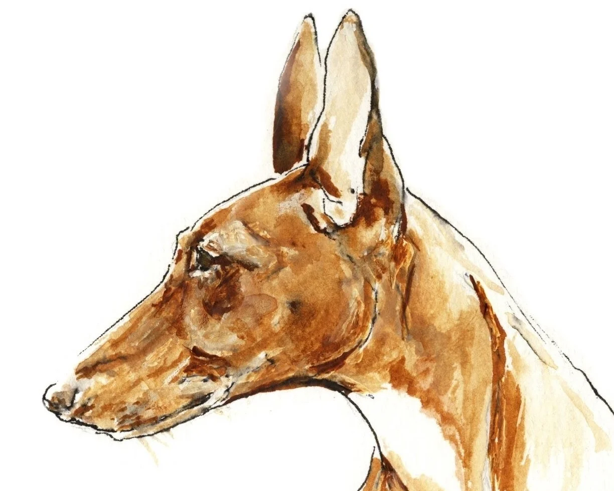 P u U Kopfporträts f Kal 2013.jpg