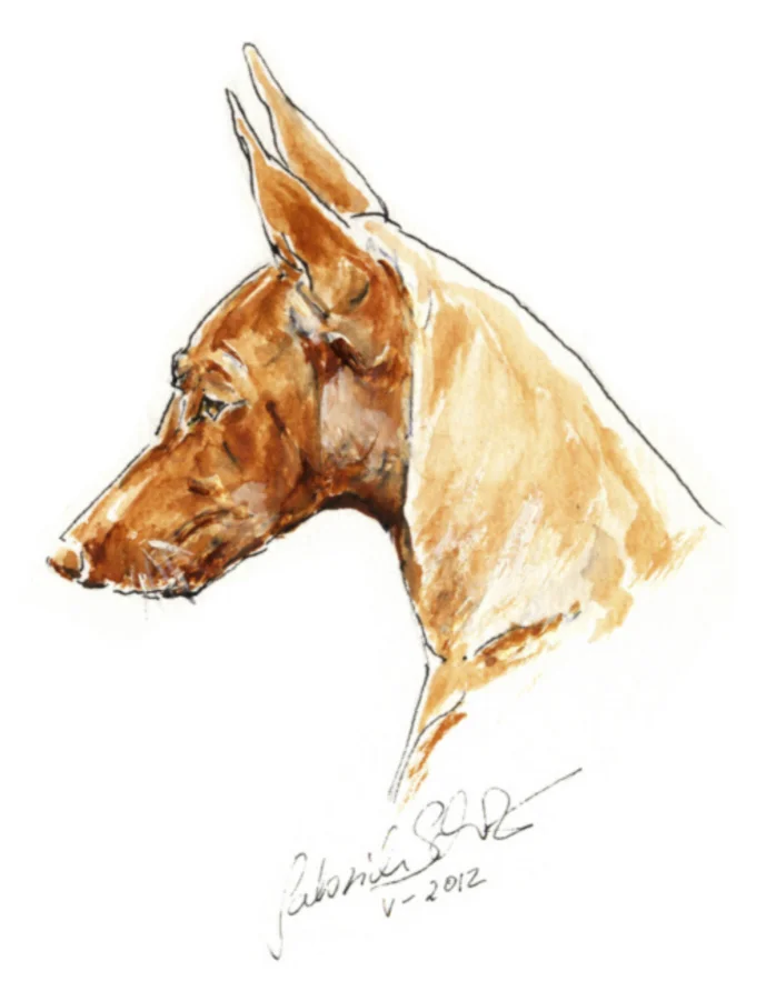 Unicas head for publication.jpg