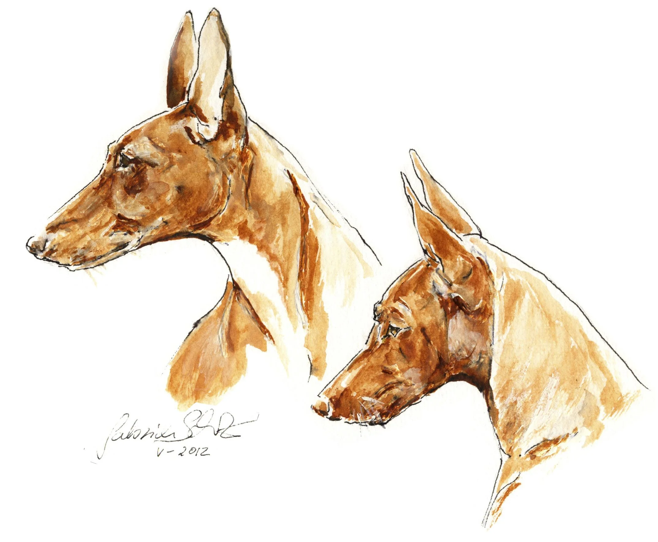 P u U Kopfporträts f Kal 2013.jpg