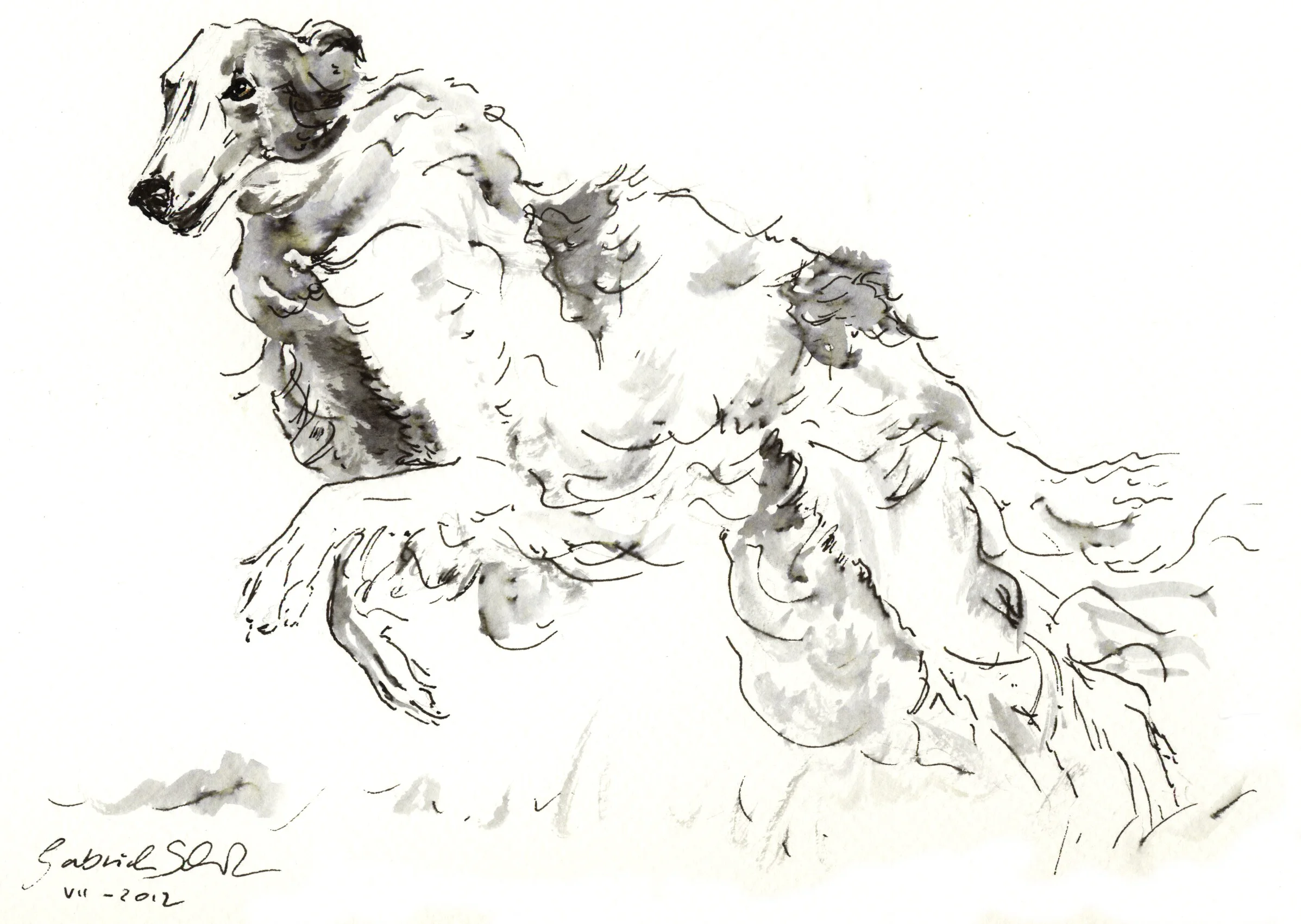 Galoppsprung fertig.jpg