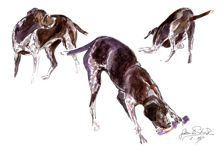 Bewegungsstudien f Karte.jpg