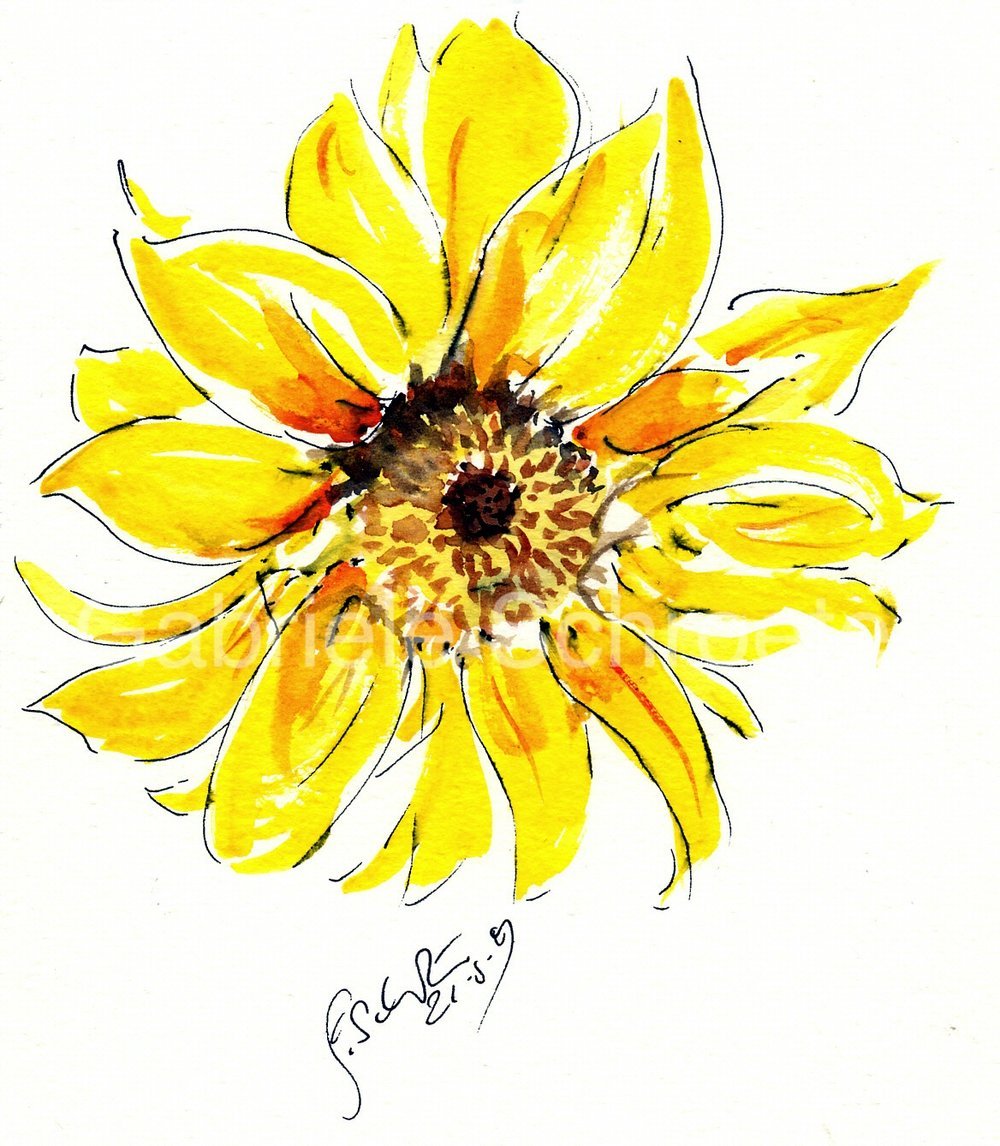 Sonnenblumenblüte.jpg