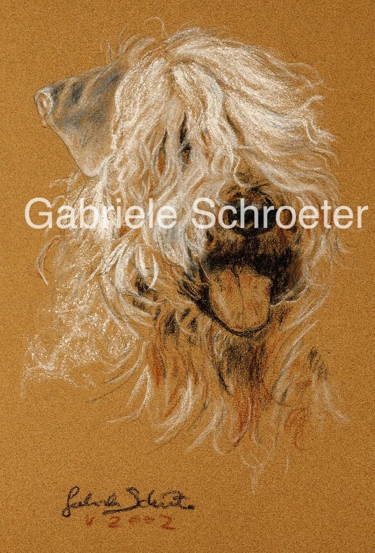 SCWheaten_farbig.jpg