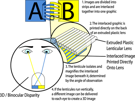 Lenticular Diagram
