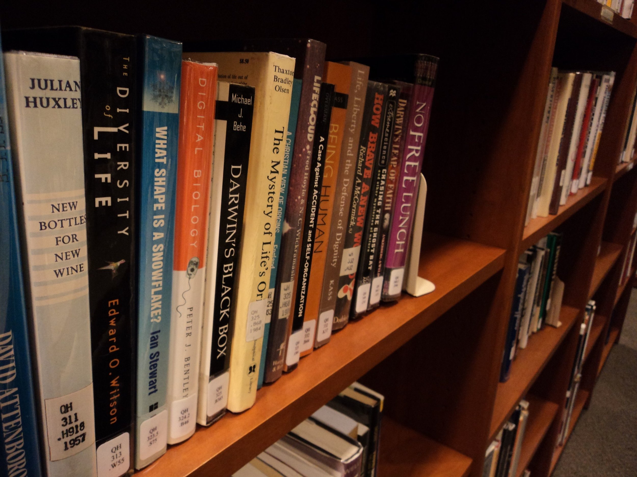 books1.jpg