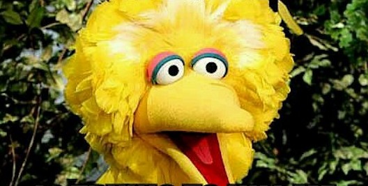 bigbird2-e1350479604633.jpg