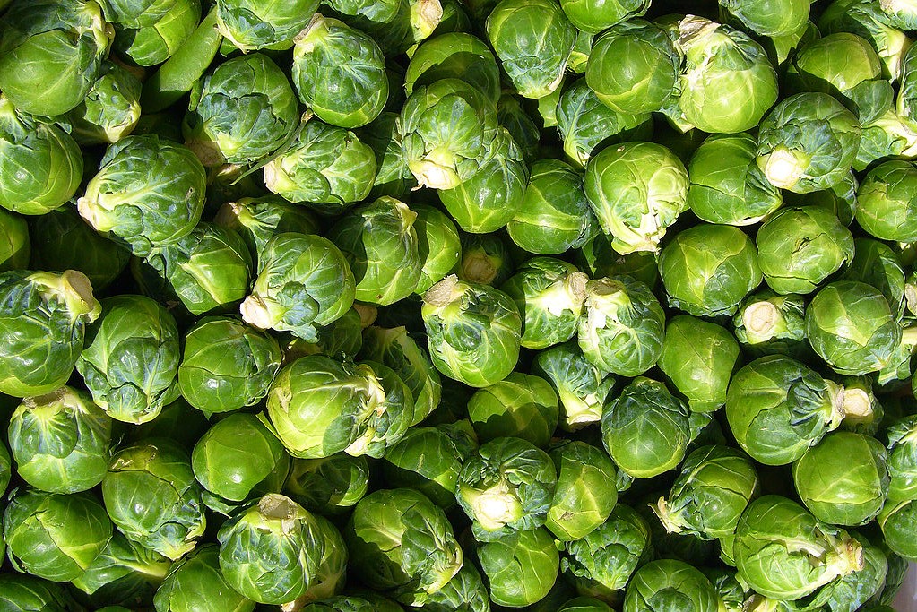 brusselssprouts.jpg
