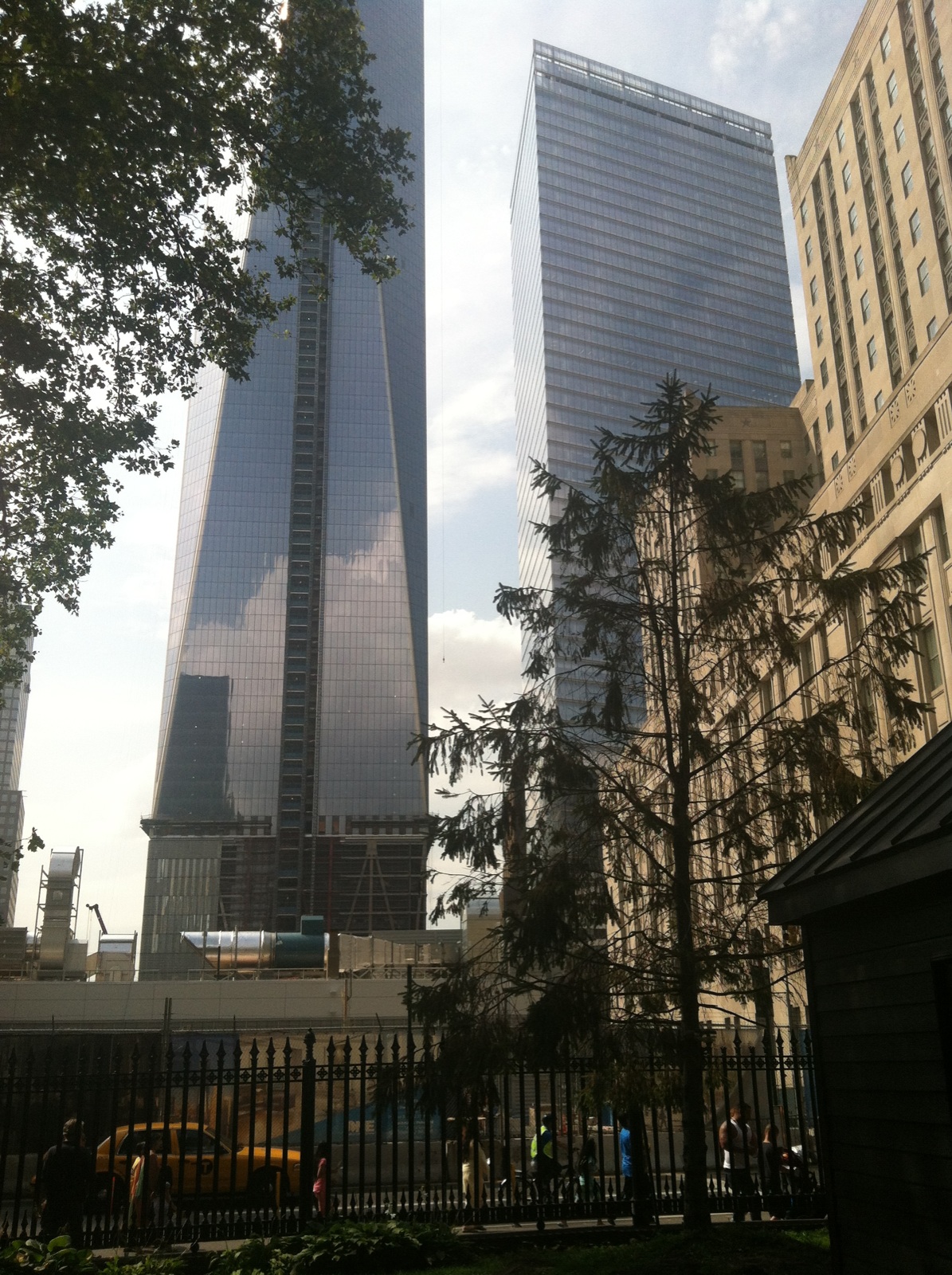 Freedom-tower-and-tree-of-hope.jpg