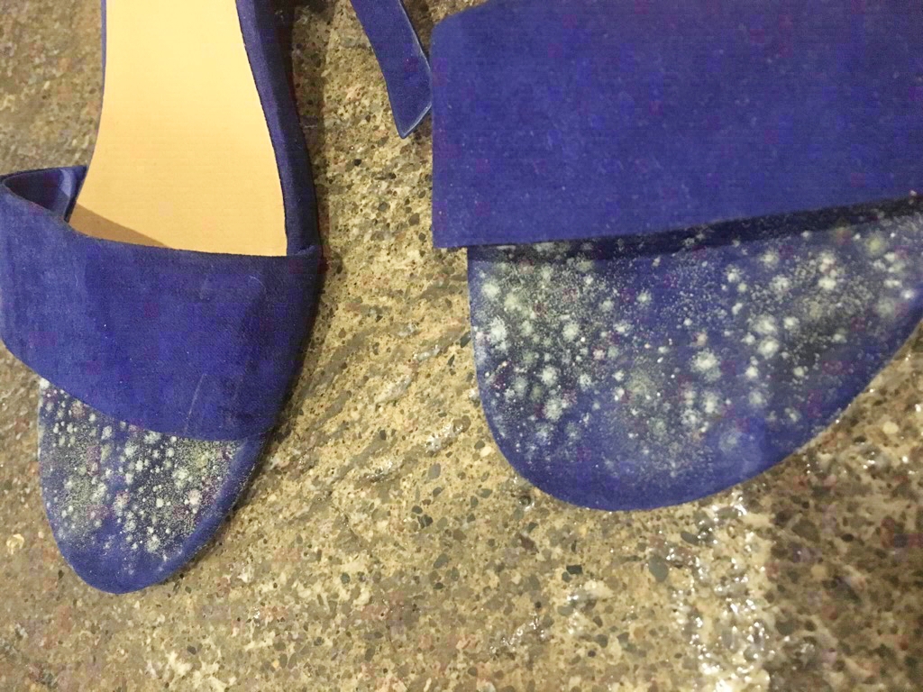 A student found fungus on their shoes. || Photo credit: Lauren Pannell
