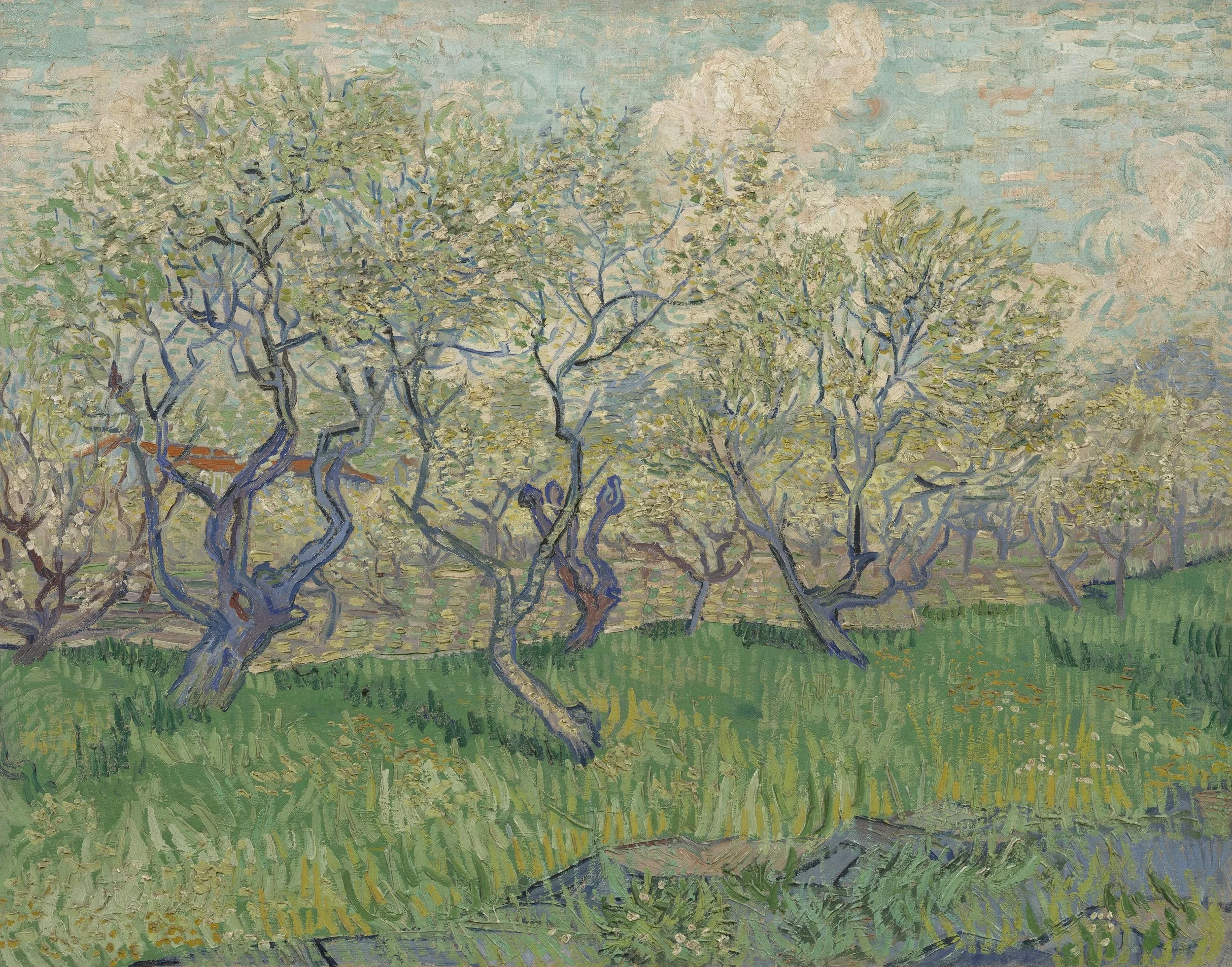 Orchards in Blossom, 1889. Credit to the Van Gogh Museum.