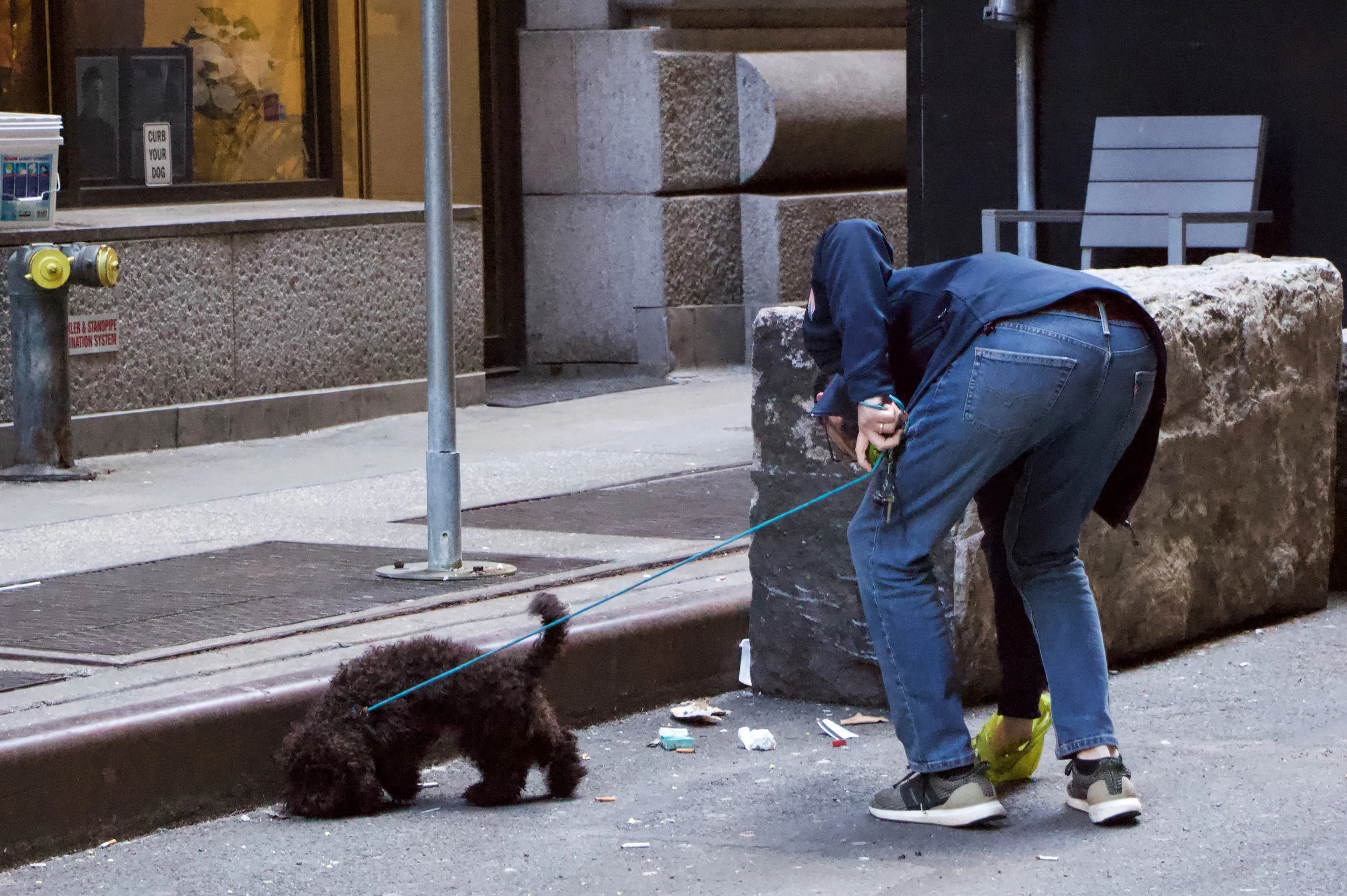Man picks up his dog’s feces on Exchange Place. Rise in residents on the street have led to more dogs seen on the street. There are signs on the street that say “Curb Your Dog.” || Photo credit to Gabriela Kressley.
