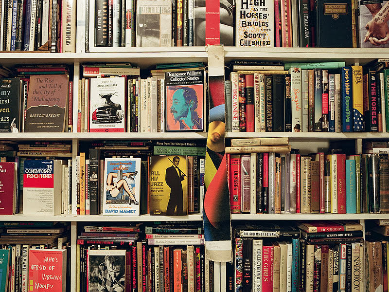 A shelf of Micheal Steinberg’s handpicked collection of novelty books. || Photo credit to Brian Ferry