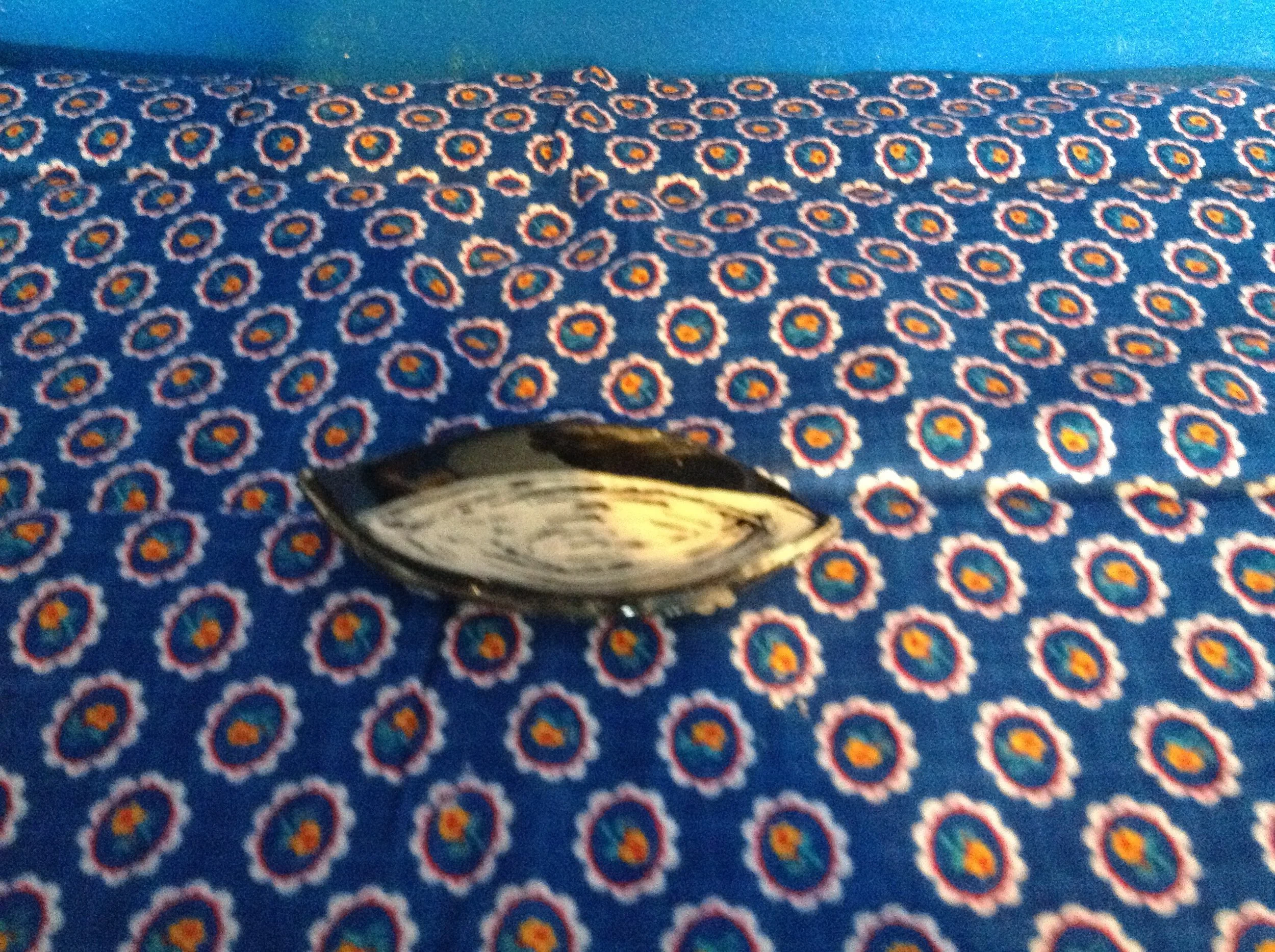 IMG_0046.JPG