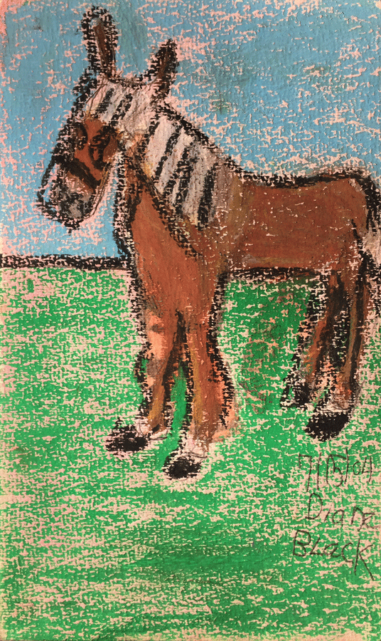 Palominio Blonde by Diane Black 6 1/2" x 11" pastel on paper