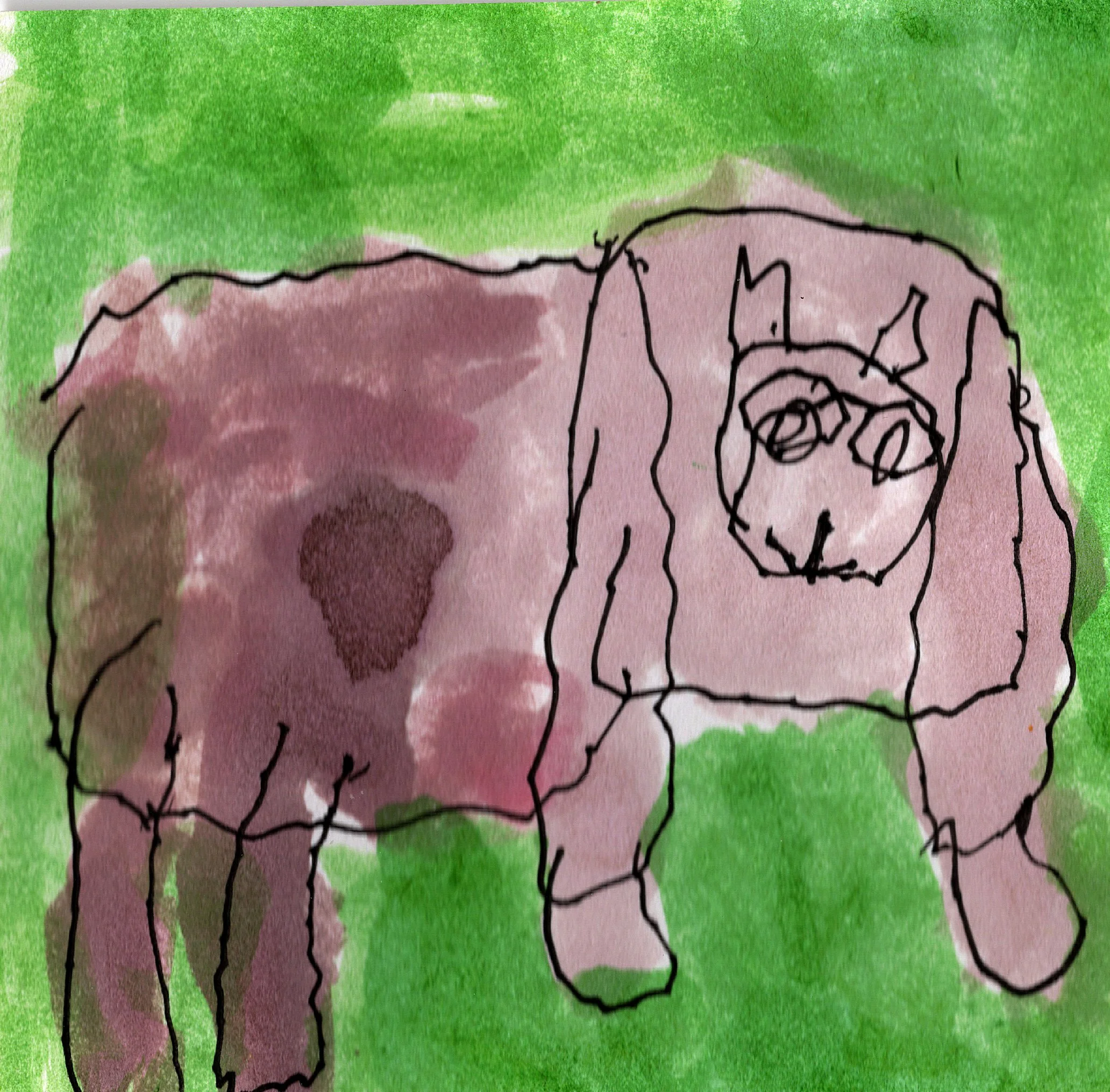 Bear.jpg