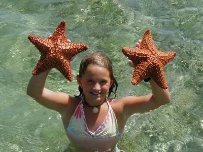 Starfish at the sandbar