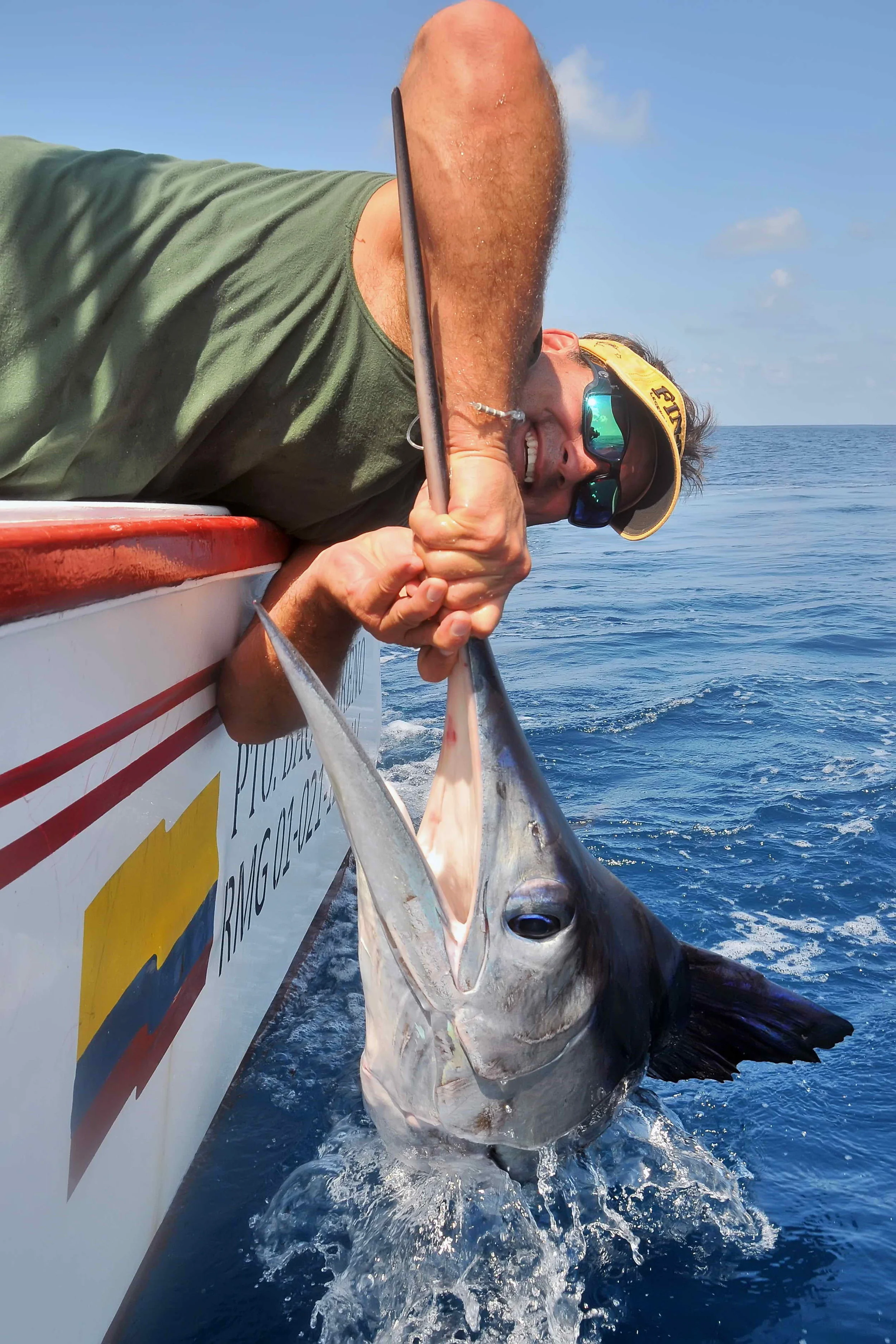 Stripped Marlin - Galapagoes