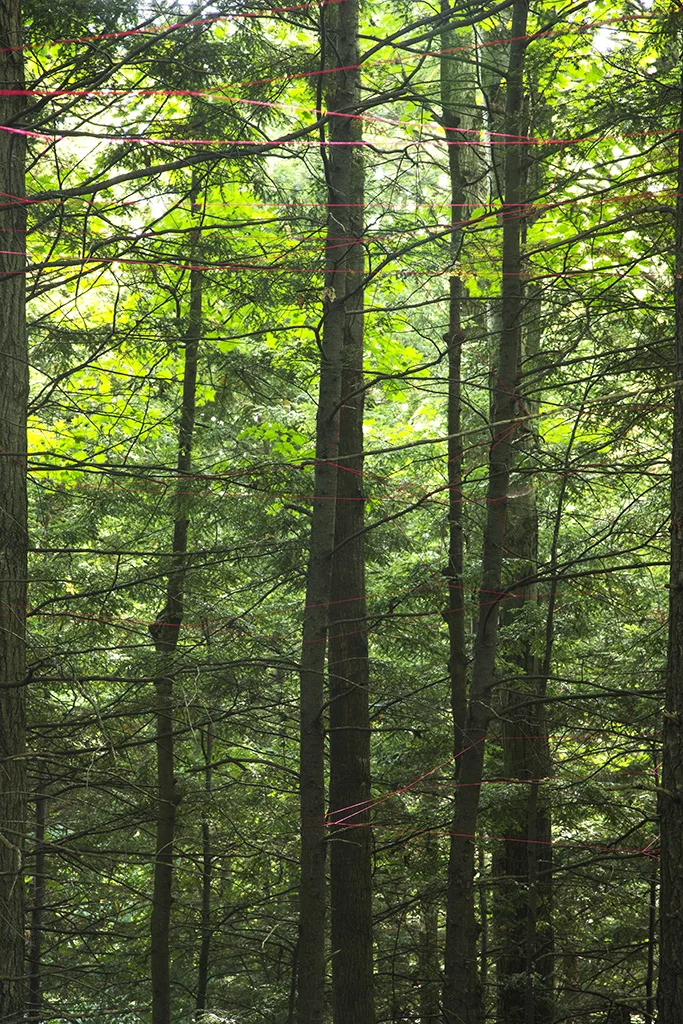 debreuil_5003_1084.jpg