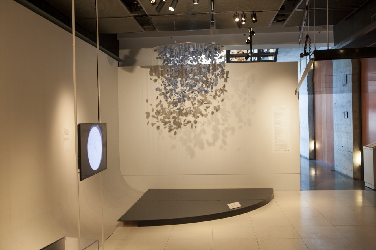 installation view of birds , 2012 and cartes mémores , 2014, McCord Museum, Montreal