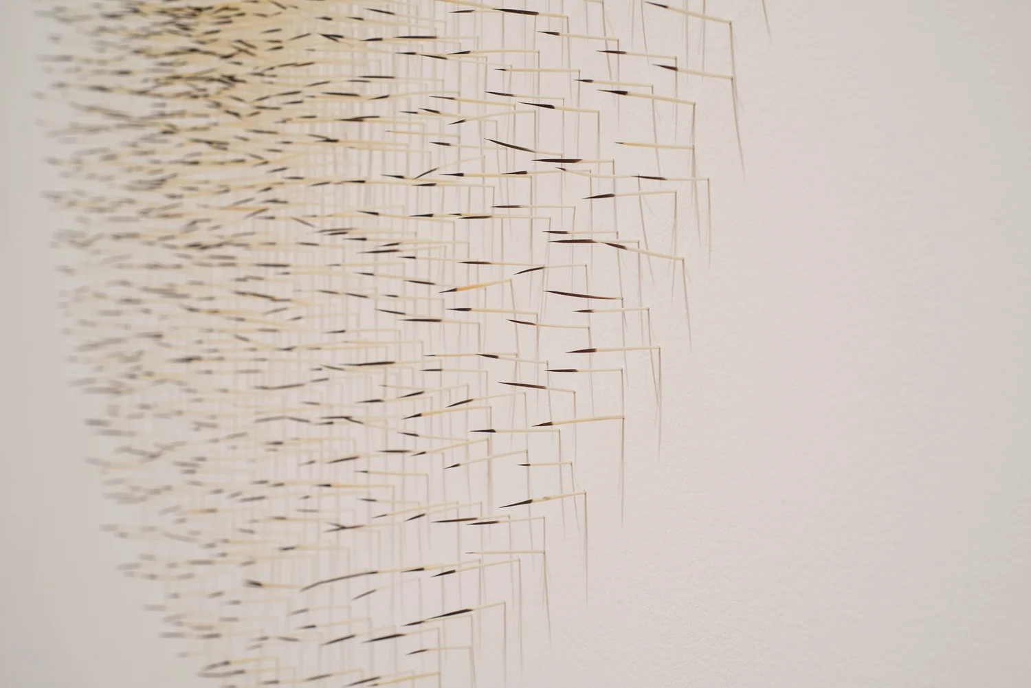 Hannah Claus, ugstakamuid / nous venons d'ici / this is where we are from 2013