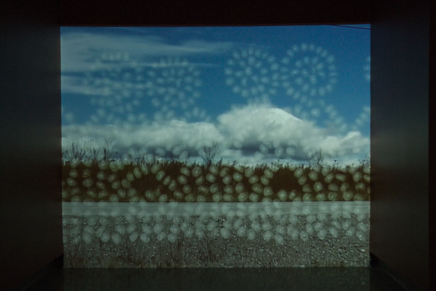 Hannah Claus, repeat along the border, 2006