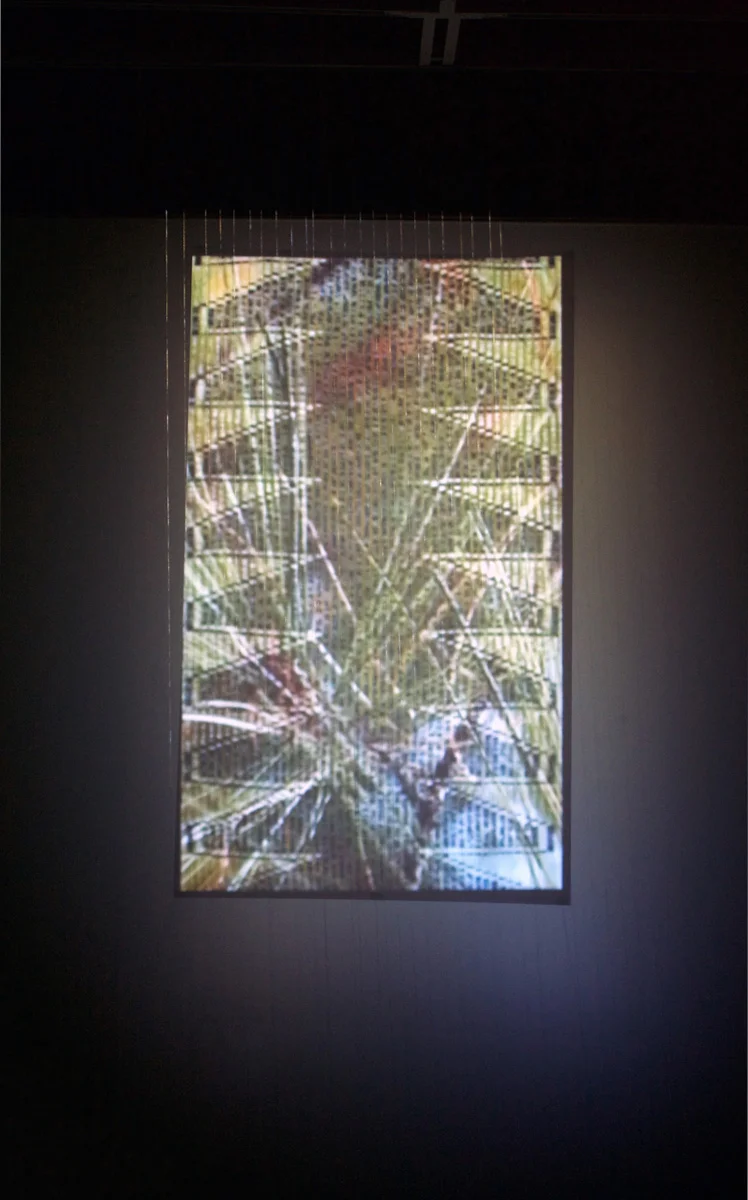 everlasting, Hannah Claus, 2015