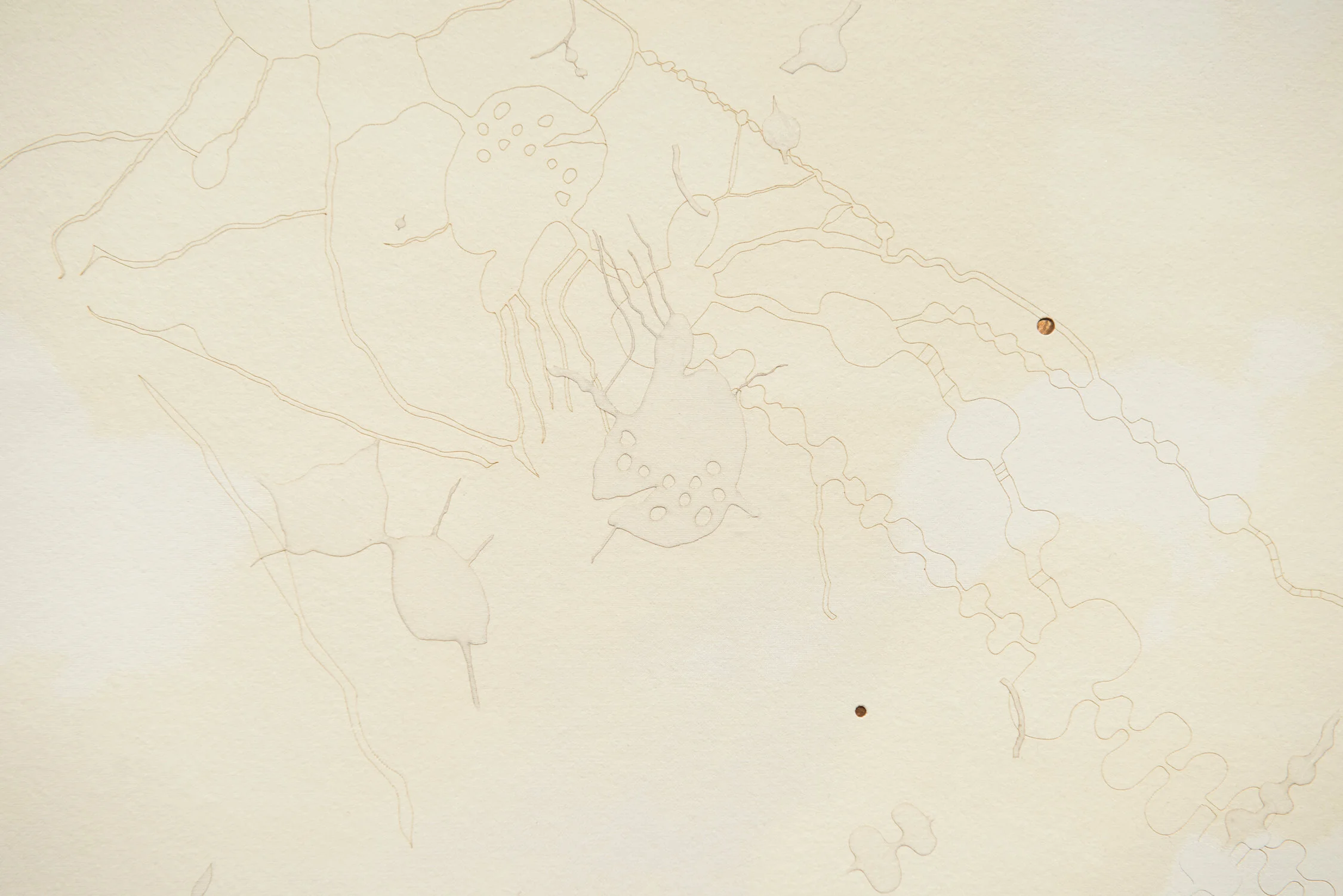 the_route_that_ocicak_preferred_detail.jpg