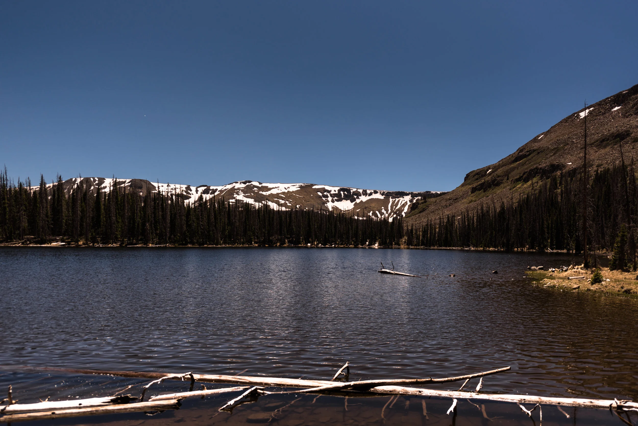 20180531-DSC_1138.jpg