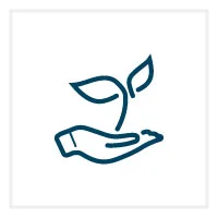 sprout-icon.jpg