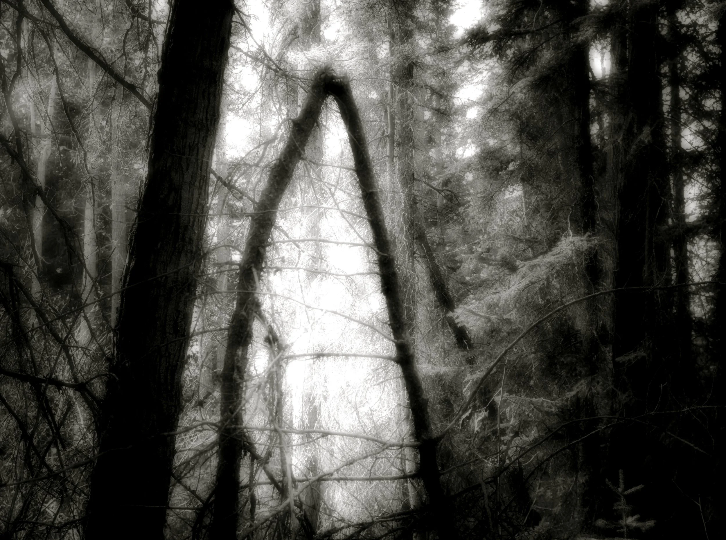 Portal, Fenland Trail. 2015