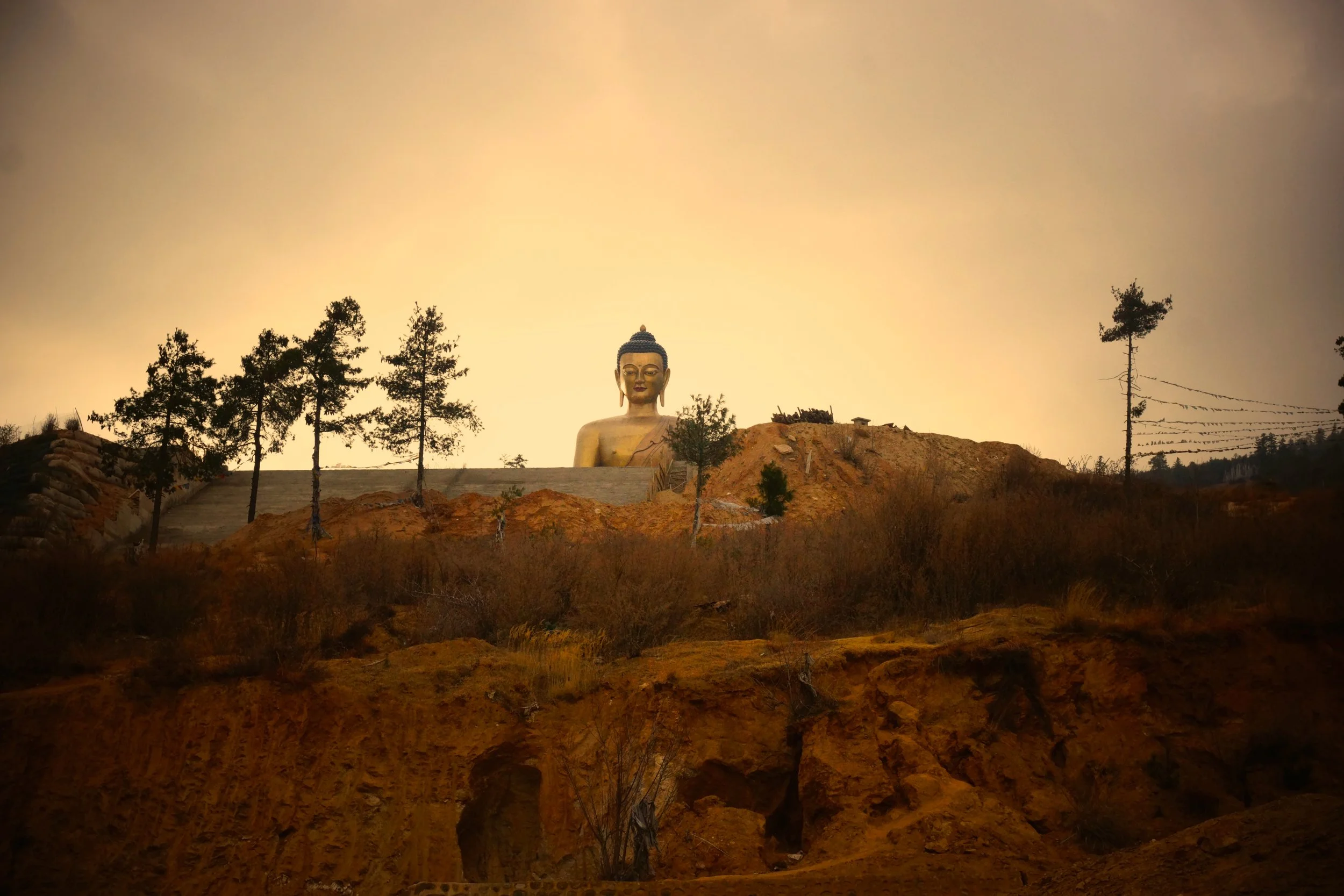 Morning portal. Thimphu, Bhutan. 2015