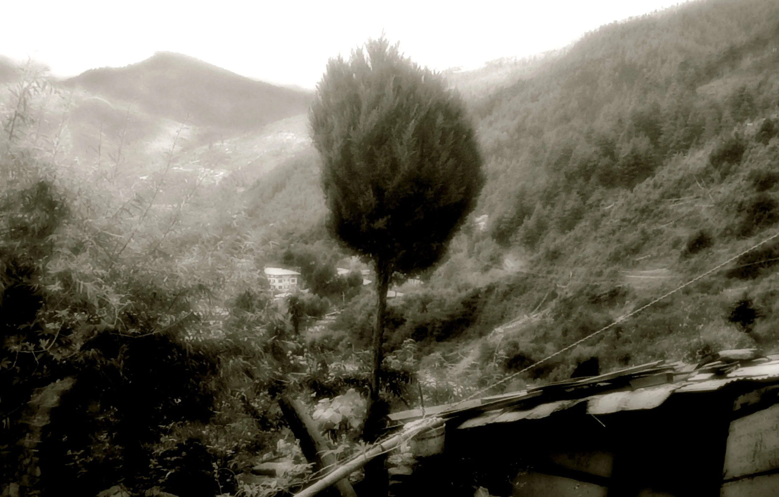 View from Ani Gompo. Thimphu, Bhutan. 2015