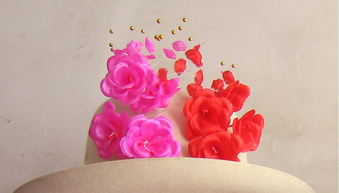 lhamo do's going to town hat