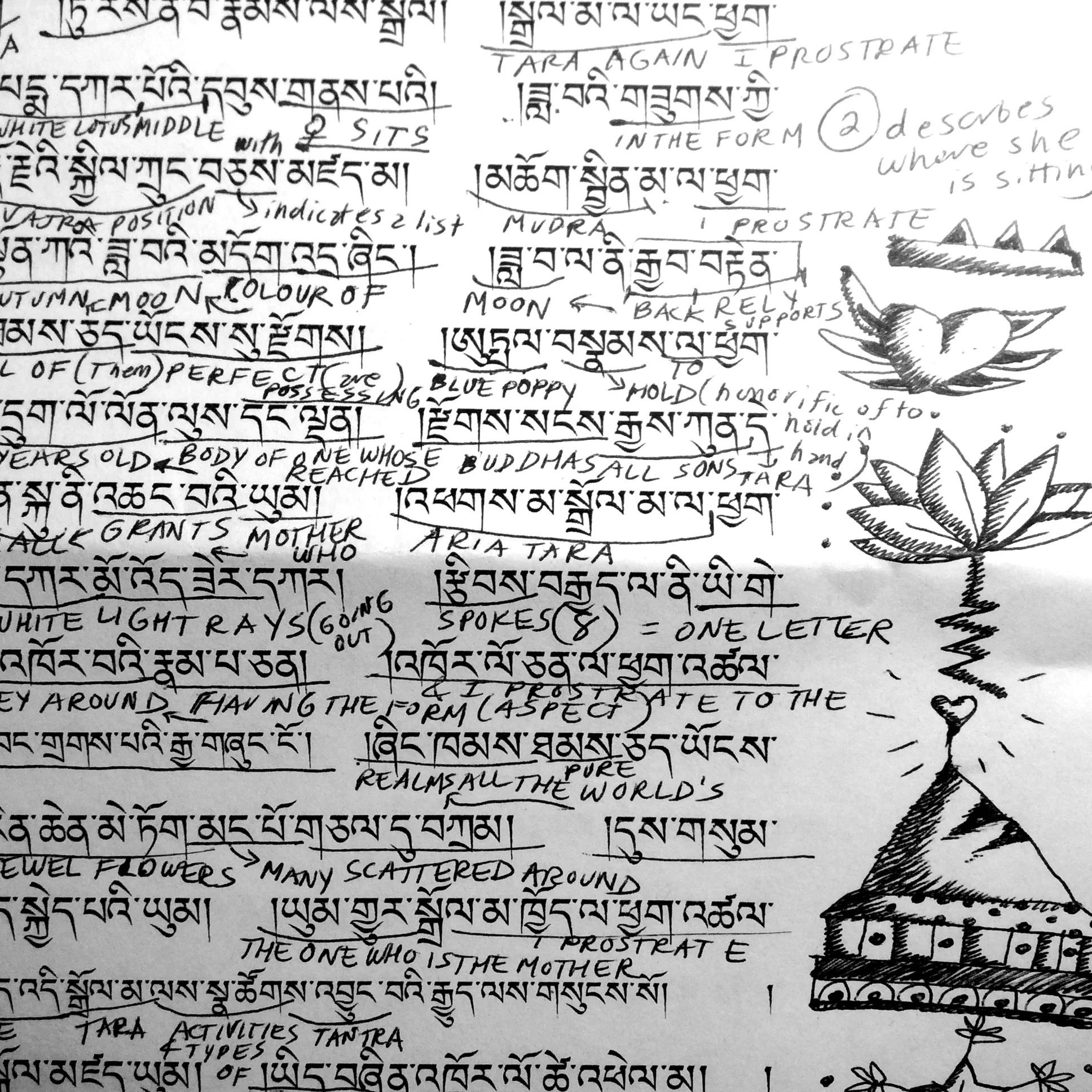 tibetan notebook. 2014