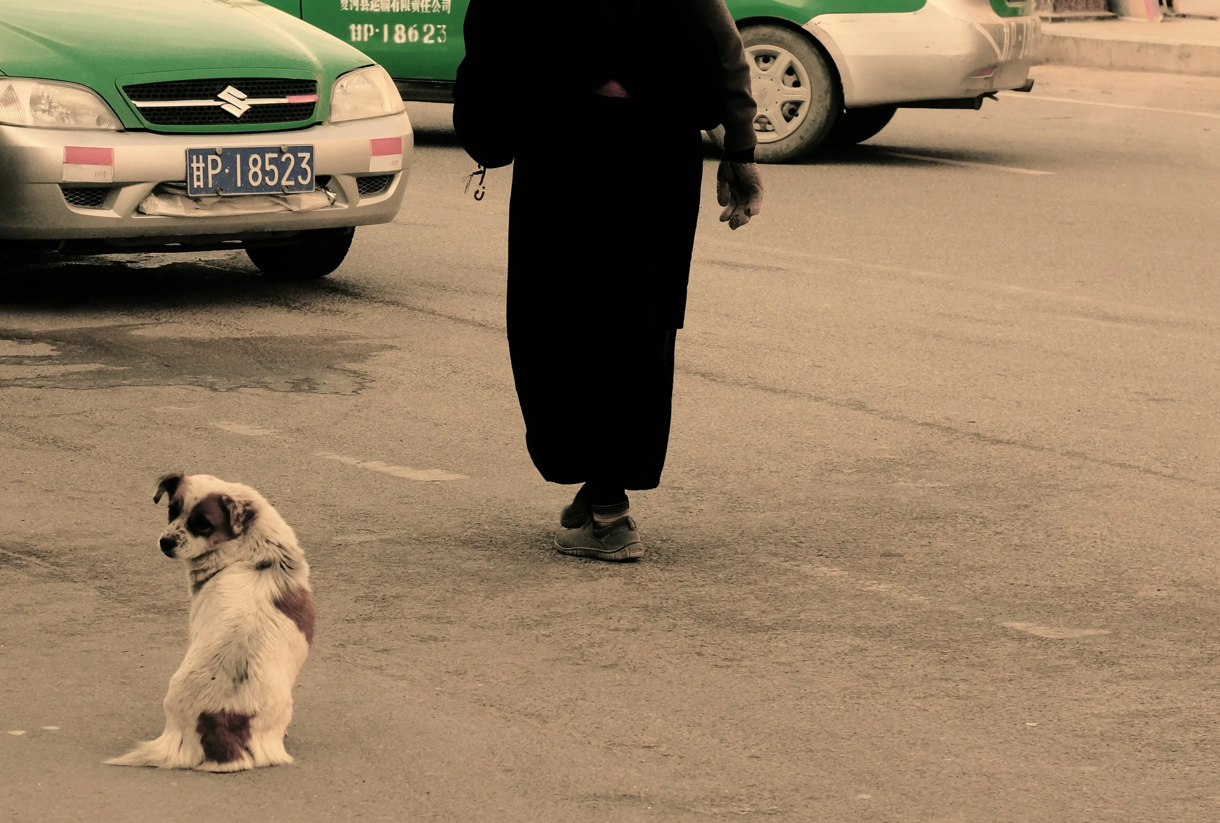 DSC05971 - Version 2.JPG