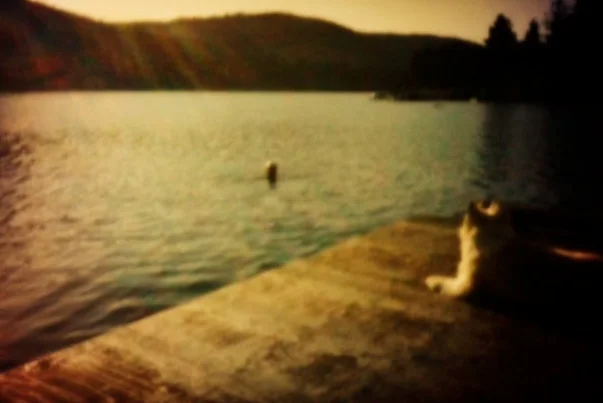 THE LAKE 3.jpg