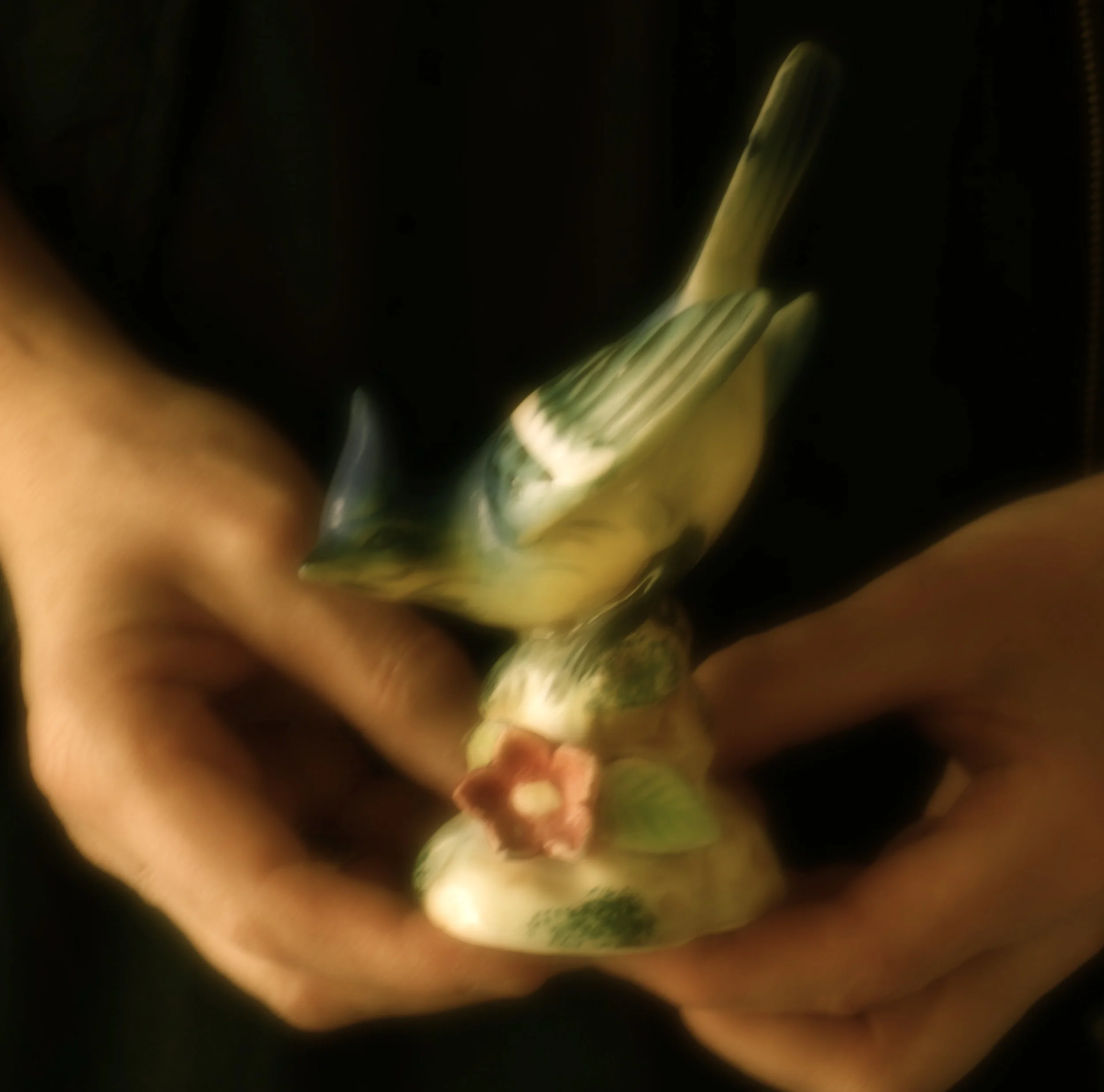 Denise and Bird Ornament