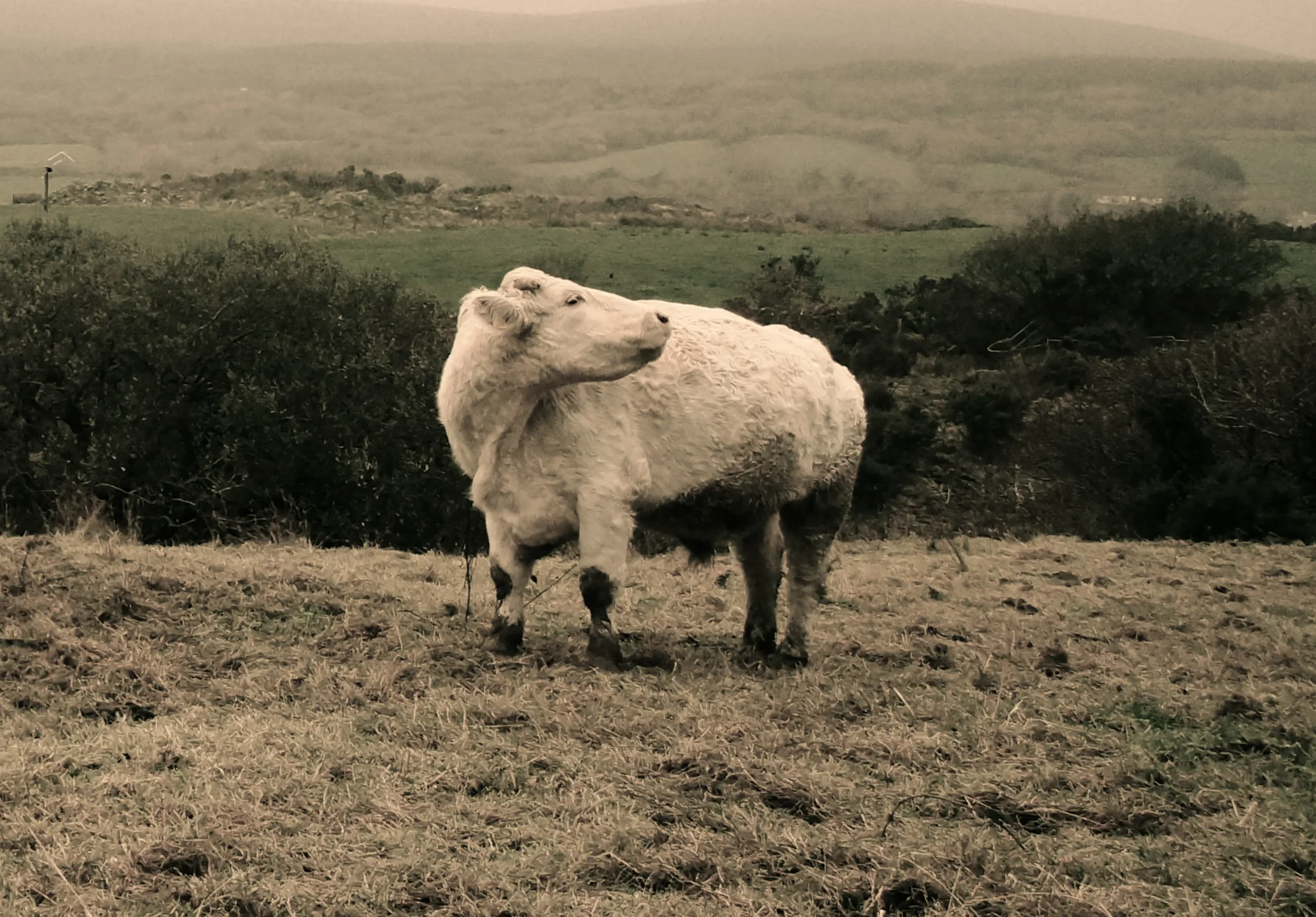 DSC07374 - Version 3.JPG