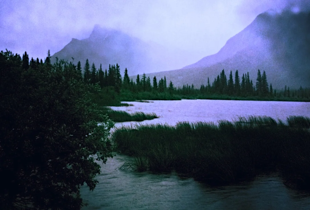 landscape3.jpg