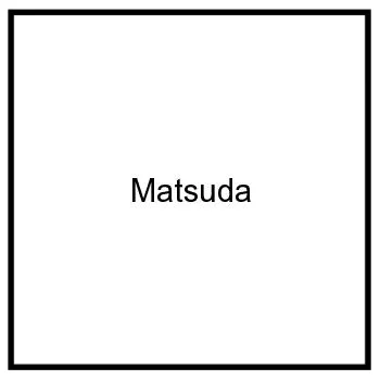 Matsuda glasses eyewear