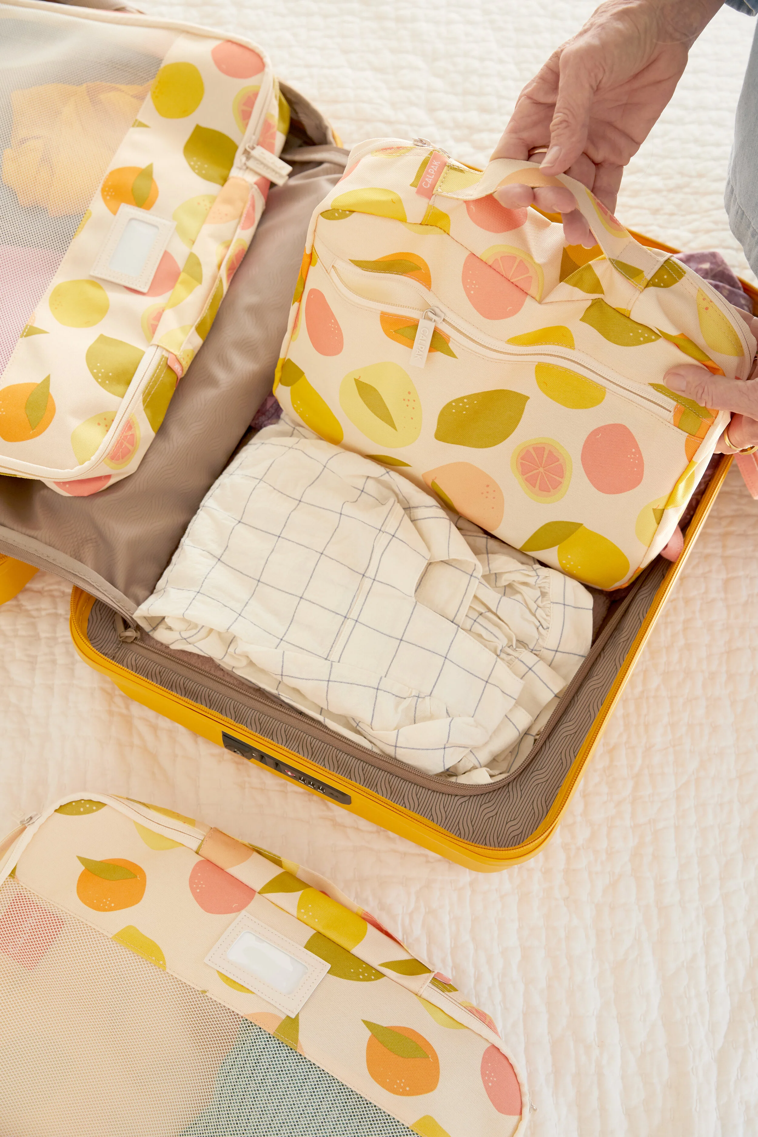 Surface Design for CalPak — Francisca 