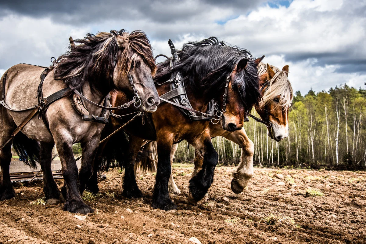 Horsepower