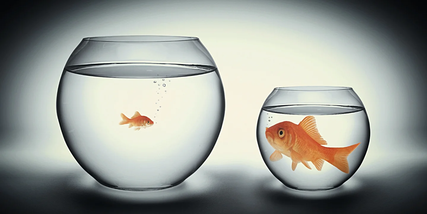 Overcoming the "Comparison Killer" - Part One