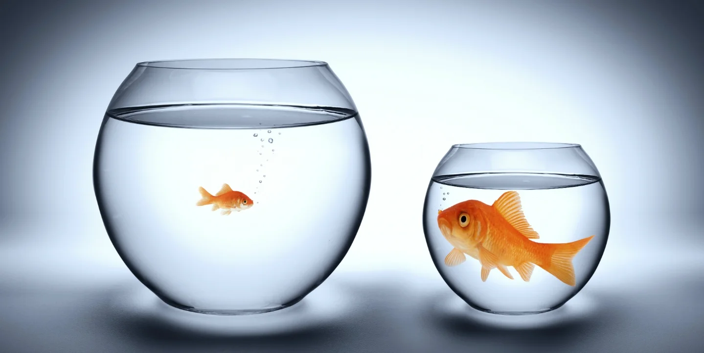 Overcoming the "Comparison Killer" Part Two