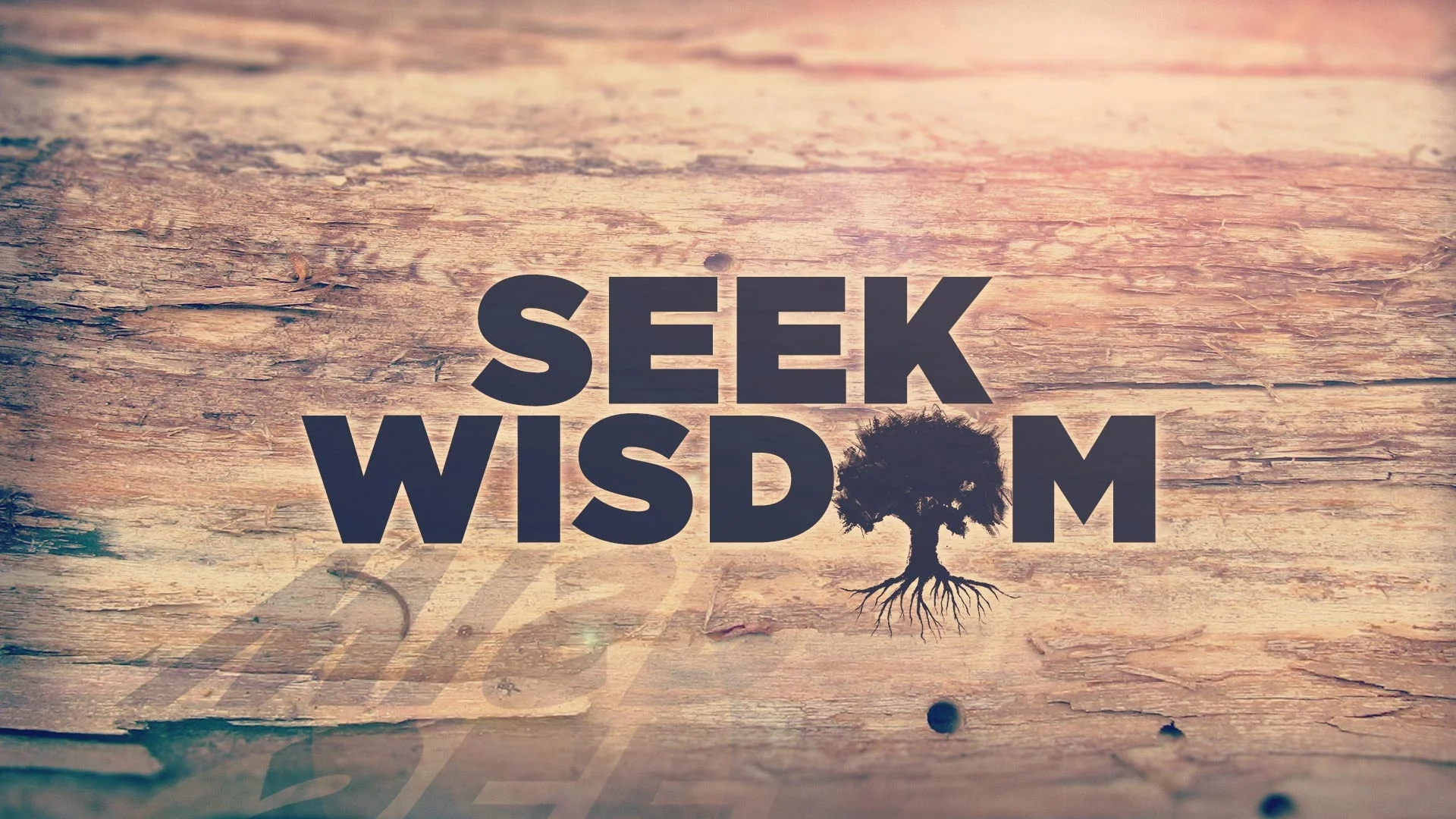 The Way of Wisdom