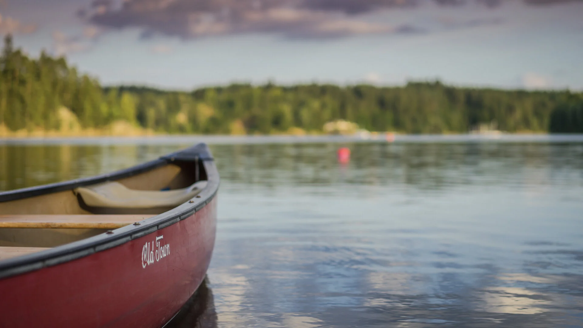 5 Secrets  copy.001.jpeg