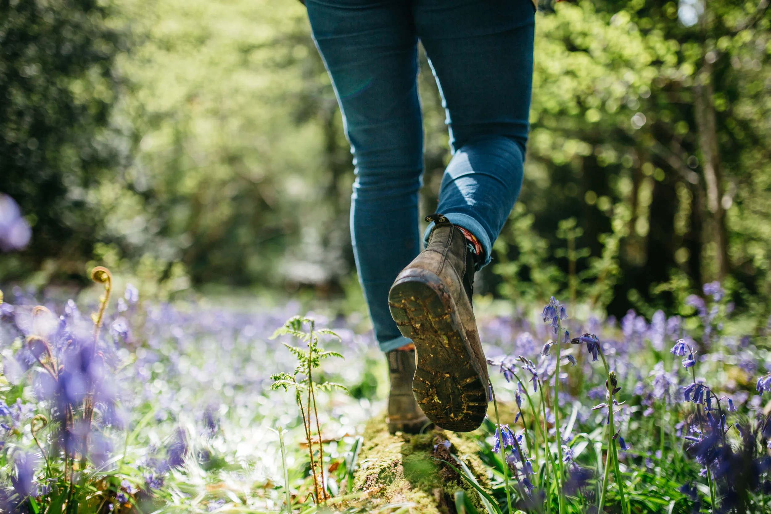 PUKKA WILDFLOWER WEEK-380.jpg