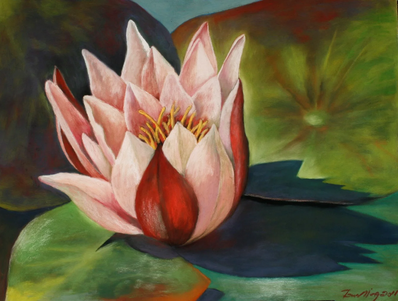Pink-Lotus-Bud.jpg