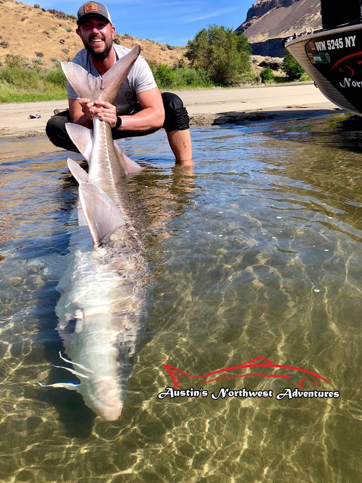 sturgeon fishing austinsnorthwestadventures.jpg